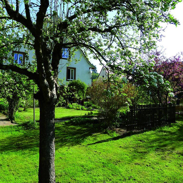 Appartement Un Dans La Vallée *